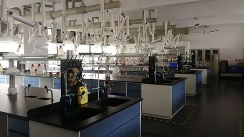 食品工程技术咨询 推动食品安全与创新的关键角色